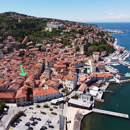 La Tana Di Alice Apartment Muggia Ngoại thất bức ảnh